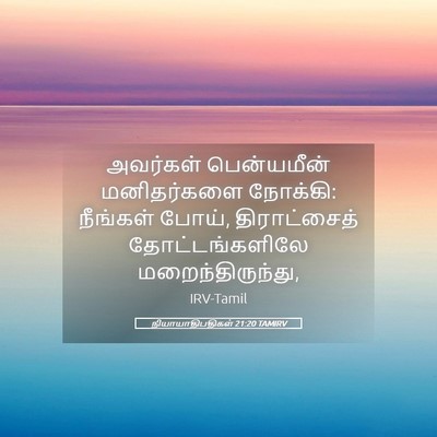 Picture 05 - நியாயாதிபதிகள் 21:20 TAMIRV - அவர்கள் பென்யமீன் - Bible Verse Picture
