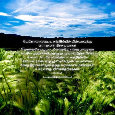 Picture 05 - நியாயாதிபதிகள் 21:5 TAMIRV - யெகோவாவுடைய - Bible Verse Picture