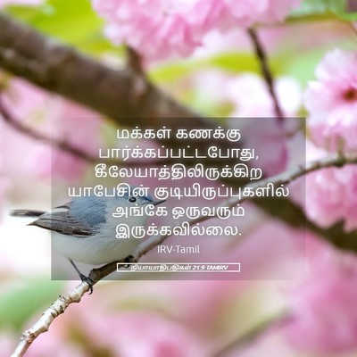 Picture 05 - நியாயாதிபதிகள் 21:9 TAMIRV - மக்கள் கணக்கு - Bible Verse Picture