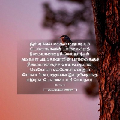 Picture 05 - நியாயாதிபதிகள் 3:12 TAMIRV - இஸ்ரவேல் மக்கள் - Bible Verse Picture