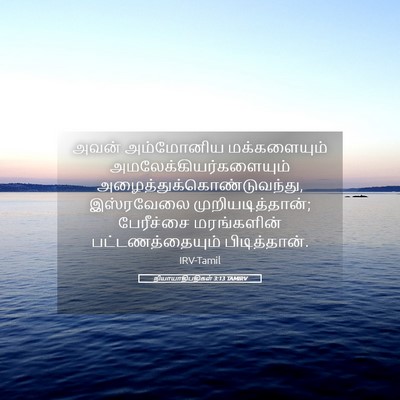 Picture 05 - நியாயாதிபதிகள் 3:13 TAMIRV - அவன் அம்மோனிய - Bible Verse Picture