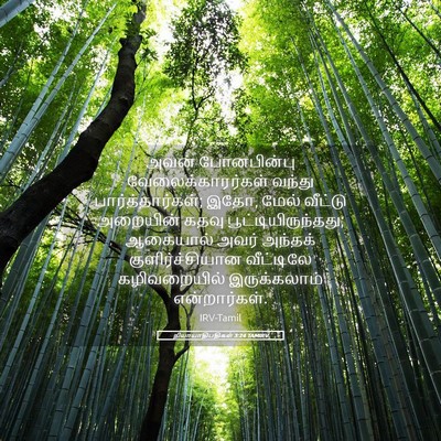 Picture 05 - நியாயாதிபதிகள் 3:24 TAMIRV - அவன் போனபின்பு - Bible Verse Picture