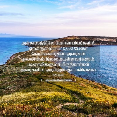 Picture 05 - நியாயாதிபதிகள் 3:29 TAMIRV - அக்காலத்திலே - Bible Verse Picture