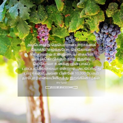 Picture 05 - நியாயாதிபதிகள் 4:14 TAMIRV - அப்பொழுது - Bible Verse Picture