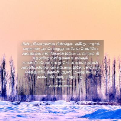 Picture 05 - நியாயாதிபதிகள் 4:22 TAMIRV - பின்பு சிசெராவை - Bible Verse Picture