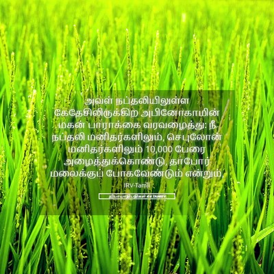 Picture 05 - நியாயாதிபதிகள் 4:6 TAMIRV - அவள் - Bible Verse Picture