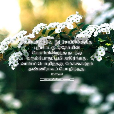 Picture 05 - நியாயாதிபதிகள் 5:4 TAMIRV - யெகோவாவே, நீர் - Bible Verse Picture