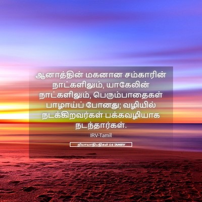 Picture 05 - நியாயாதிபதிகள் 5:6 TAMIRV - ஆனாத்தின் மகனான - Bible Verse Picture
