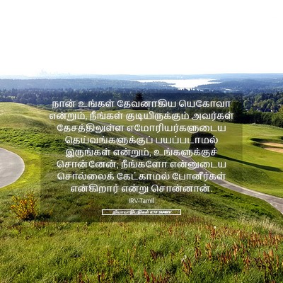 Picture 05 - நியாயாதிபதிகள் 6:10 TAMIRV - நான் உங்கள் - Bible Verse Picture