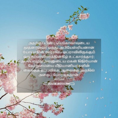 Picture 05 - நியாயாதிபதிகள் 6:11 TAMIRV - அதற்குப்பின்பு - Bible Verse Picture