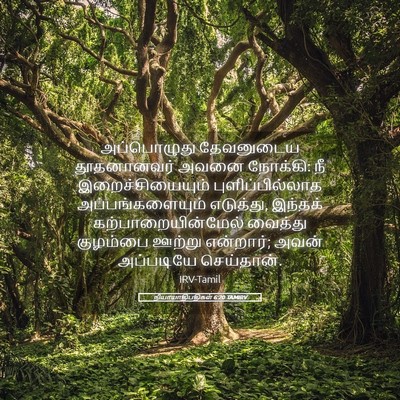 Picture 05 - நியாயாதிபதிகள் 6:20 TAMIRV - அப்பொழுது - Bible Verse Picture