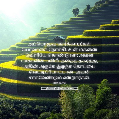 Picture 05 - நியாயாதிபதிகள் 6:30 TAMIRV - அப்பொழுது - Bible Verse Picture