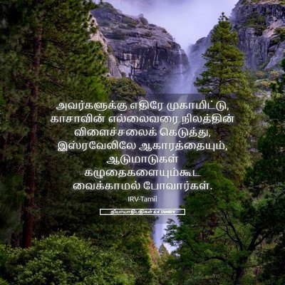 Picture 05 - நியாயாதிபதிகள் 6:4 TAMIRV - அவர்களுக்கு எதிரே - Bible Verse Picture