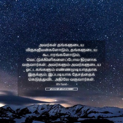 Picture 05 - நியாயாதிபதிகள் 6:5 TAMIRV - அவர்கள் தங்களுடைய - Bible Verse Picture