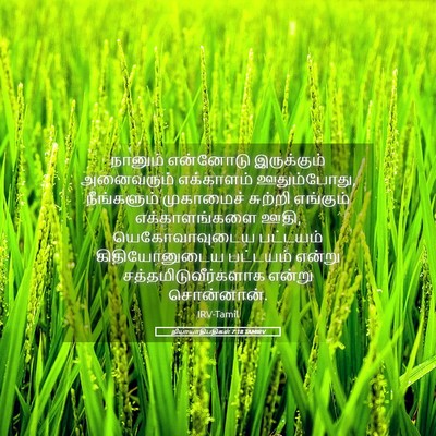 Picture 05 - நியாயாதிபதிகள் 7:18 TAMIRV - நானும் என்னோடு - Bible Verse Picture