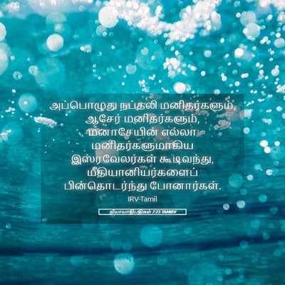 Picture 05 - நியாயாதிபதிகள் 7:23 TAMIRV - அப்பொழுது நப்தலி - Bible Verse Picture