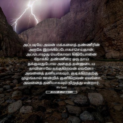 Picture 05 - நியாயாதிபதிகள் 7:5 TAMIRV - அப்படியே அவன் - Bible Verse Picture