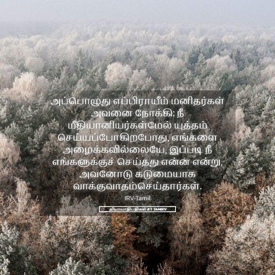 Picture 05 - நியாயாதிபதிகள் 8:1 TAMIRV - அப்பொழுது - Bible Verse Picture