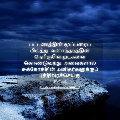 Picture 05 - நியாயாதிபதிகள் 8:16 TAMIRV - பட்டணத்தின் - Bible Verse Picture