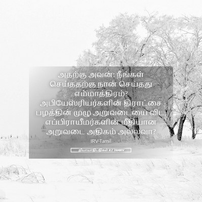 Picture 05 - நியாயாதிபதிகள் 8:2 TAMIRV - அதற்கு அவன்: - Bible Verse Picture