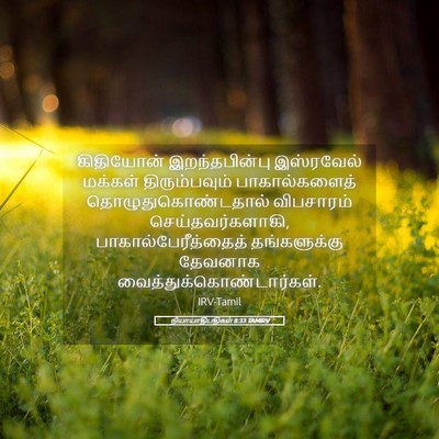 Picture 05 - நியாயாதிபதிகள் 8:33 TAMIRV - கிதியோன் - Bible Verse Picture