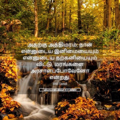 Picture 05 - நியாயாதிபதிகள் 9:11 TAMIRV - அதற்கு அத்திமரம்: - Bible Verse Picture