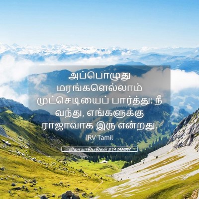 Picture 05 - நியாயாதிபதிகள் 9:14 TAMIRV - அப்பொழுது - Bible Verse Picture