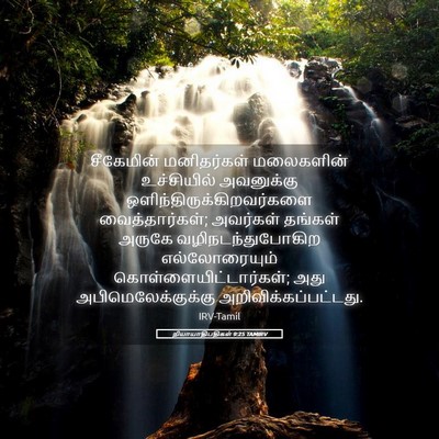Picture 05 - நியாயாதிபதிகள் 9:25 TAMIRV - சீகேமின் - Bible Verse Picture