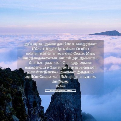 Picture 05 - நியாயாதிபதிகள் 9:3 TAMIRV - அப்படியே அவன் - Bible Verse Picture