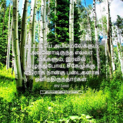 Picture 05 - நியாயாதிபதிகள் 9:34 TAMIRV - அப்படியே - Bible Verse Picture