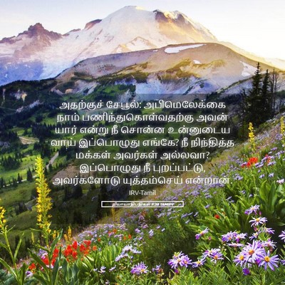 Picture 05 - நியாயாதிபதிகள் 9:38 TAMIRV - அதற்குச் சேபூல்: - Bible Verse Picture