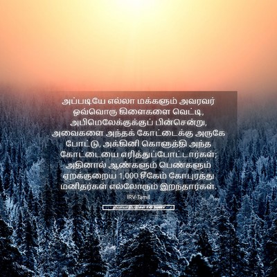Picture 05 - நியாயாதிபதிகள் 9:49 TAMIRV - அப்படியே எல்லா - Bible Verse Picture