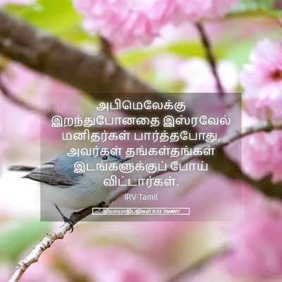 Picture 05 - நியாயாதிபதிகள் 9:55 TAMIRV - அபிமெலேக்கு - Bible Verse Picture