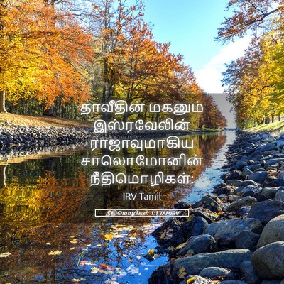 Picture 05 - நீதிமொழிகள் 1:1 TAMIRV - தாவீதின் மகனும் - Bible Verse Picture