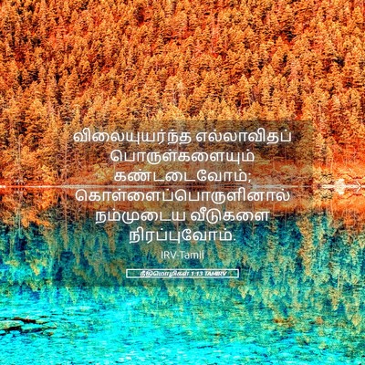 Picture 05 - நீதிமொழிகள் 1:13 TAMIRV - விலையுயர்ந்த - Bible Verse Picture