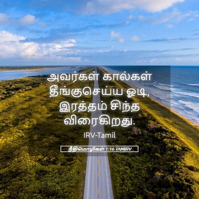 Picture 05 - நீதிமொழிகள் 1:16 TAMIRV - அவர்கள் கால்கள் - Bible Verse Picture