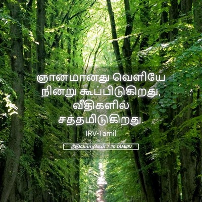 Picture 05 - நீதிமொழிகள் 1:20 TAMIRV - ஞானமானது வெளியே - Bible Verse Picture
