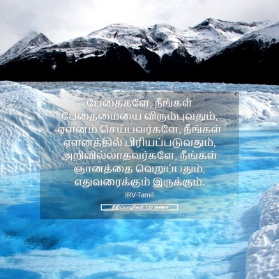 Picture 05 - நீதிமொழிகள் 1:22 TAMIRV - பேதைகளே, நீங்கள் - Bible Verse Picture