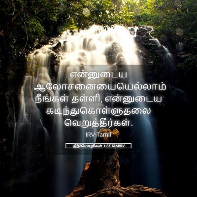 Picture 05 - நீதிமொழிகள் 1:25 TAMIRV - என்னுடைய - Bible Verse Picture