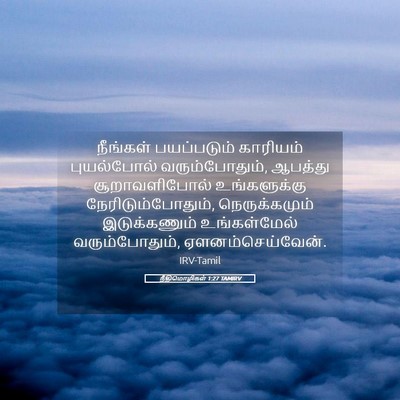 Picture 05 - நீதிமொழிகள் 1:27 TAMIRV - நீங்கள் பயப்படும் - Bible Verse Picture