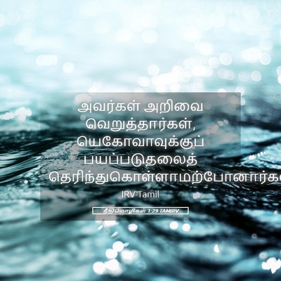 Picture 05 - நீதிமொழிகள் 1:29 TAMIRV - அவர்கள் அறிவை - Bible Verse Picture