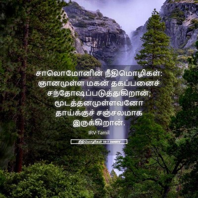 Picture 05 - நீதிமொழிகள் 10:1 TAMIRV - சாலொமோனின் - Bible Verse Picture