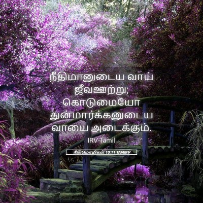 Picture 05 - நீதிமொழிகள் 10:11 TAMIRV - நீதிமானுடைய வாய் - Bible Verse Picture