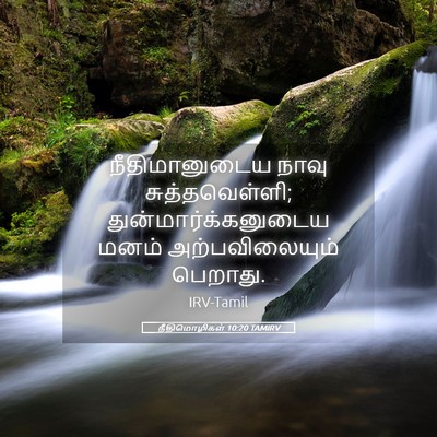 Picture 05 - நீதிமொழிகள் 10:20 TAMIRV - நீதிமானுடைய நாவு - Bible Verse Picture
