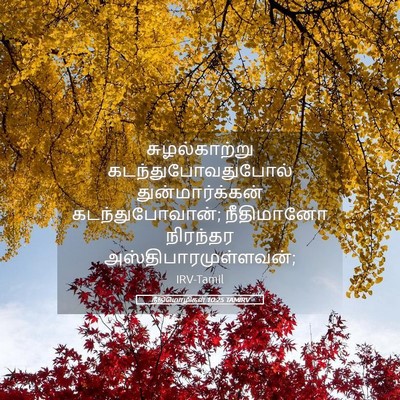 Picture 05 - நீதிமொழிகள் 10:25 TAMIRV - சுழல்காற்று - Bible Verse Picture