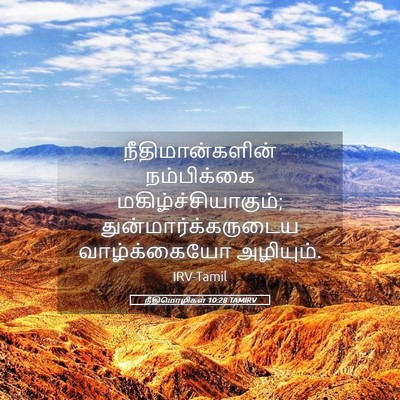 Picture 05 - நீதிமொழிகள் 10:28 TAMIRV - நீதிமான்களின் - Bible Verse Picture