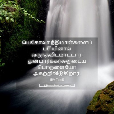 Picture 05 - நீதிமொழிகள் 10:3 TAMIRV - யெகோவா - Bible Verse Picture