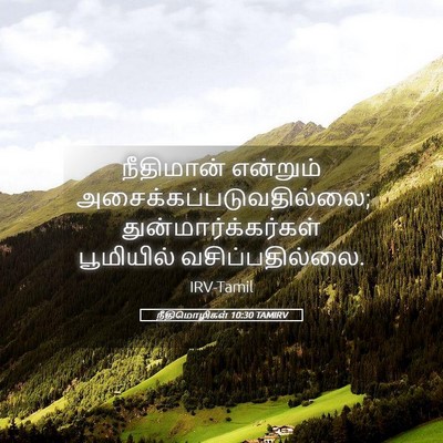 Picture 05 - நீதிமொழிகள் 10:30 TAMIRV - நீதிமான் என்றும் - Bible Verse Picture