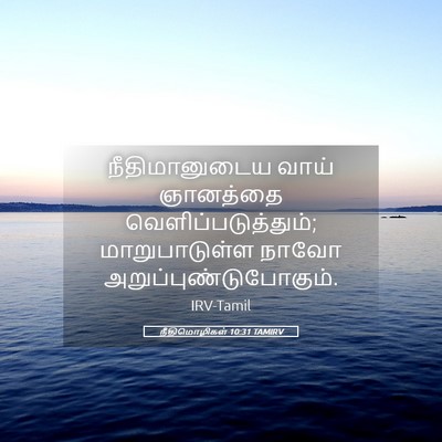 Picture 05 - நீதிமொழிகள் 10:31 TAMIRV - நீதிமானுடைய வாய் - Bible Verse Picture