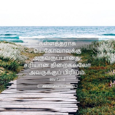 Picture 05 - நீதிமொழிகள் 11:1 TAMIRV - கள்ளத்தராசு - Bible Verse Picture